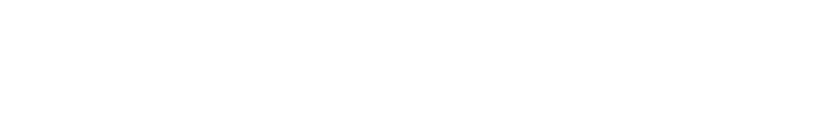 Essex County Council CMS